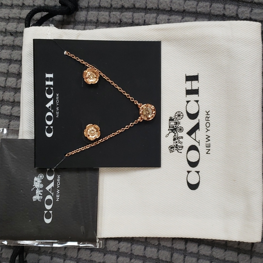 Rose gold Coach necklace and earrings